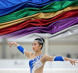 Polyamid-Elasthan-Stoff Voltigieren Turnen Gymnastik|default:Polyamid-Elasthan - Glänzend|default:.NAME